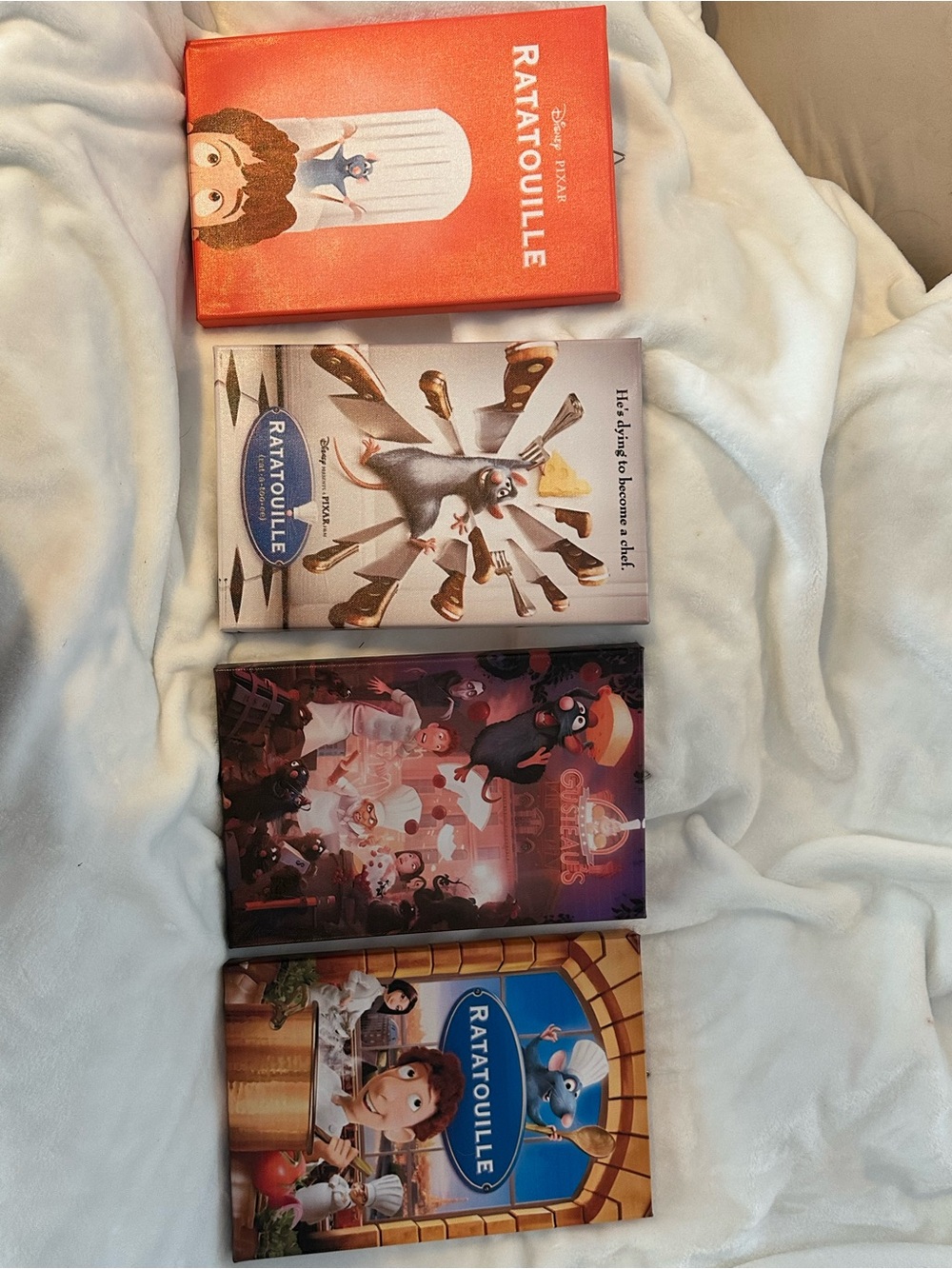 Set of 4 Canvas Prints: Ratatouille 8”x 12”